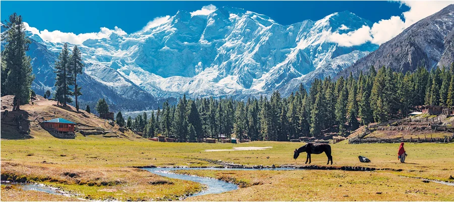 fairymeadows-tour