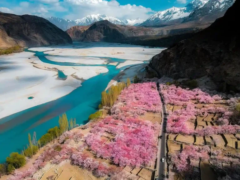 skardu shigar apricot spring blossom tour